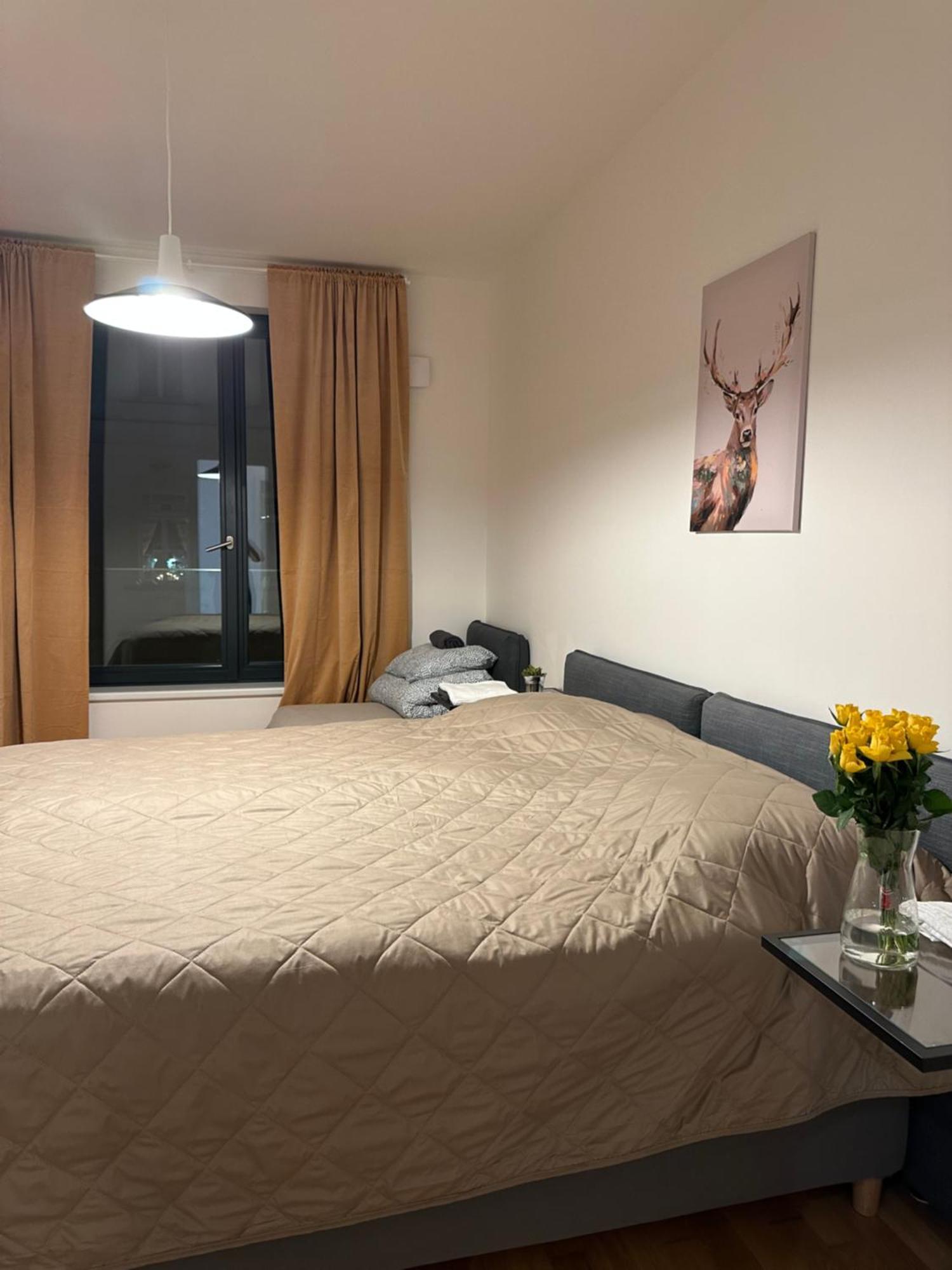 Apartment 4 Room, 2 Bath, Parking プラハ エクステリア 写真